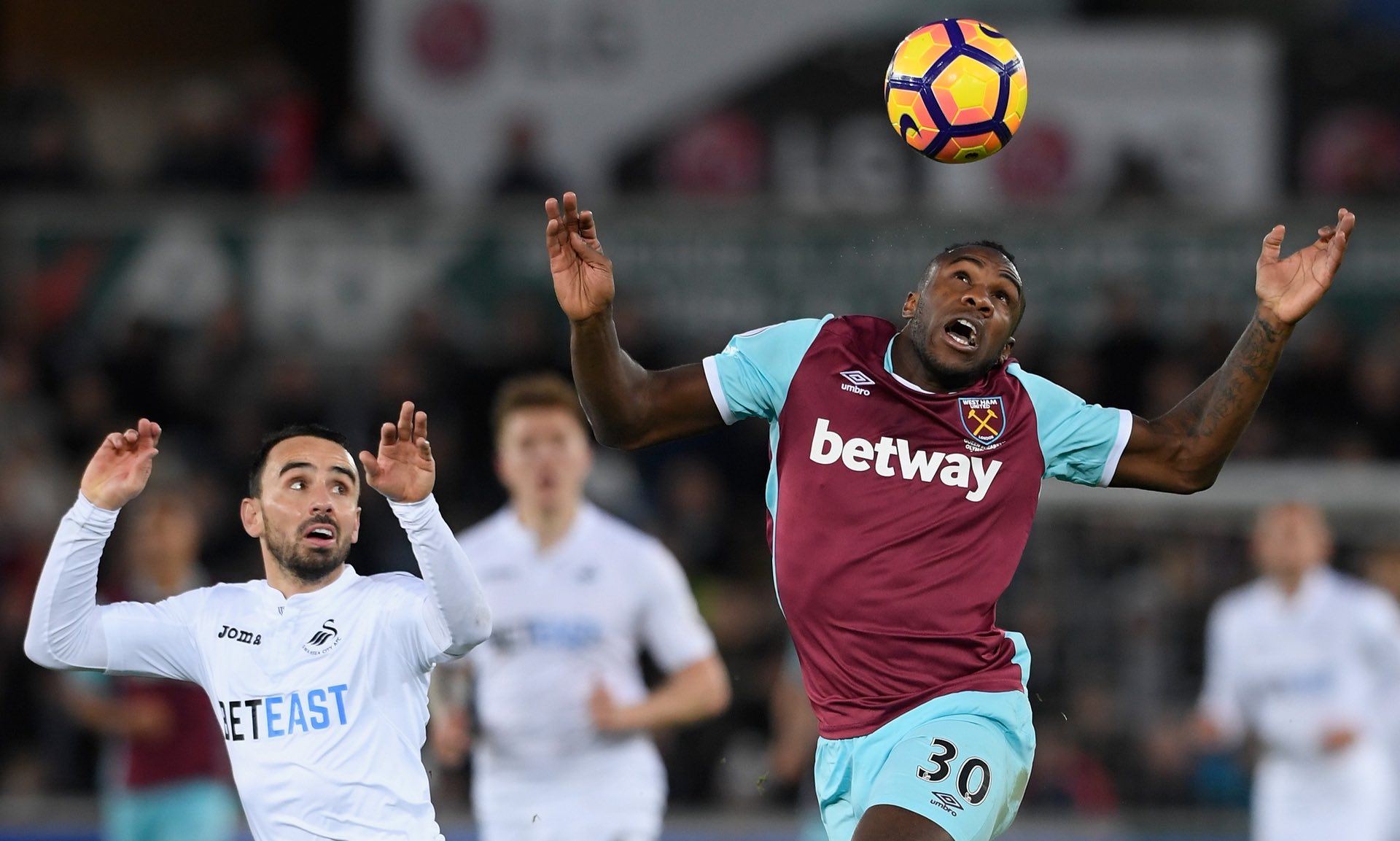 却拥有巨大 却拥有巨大